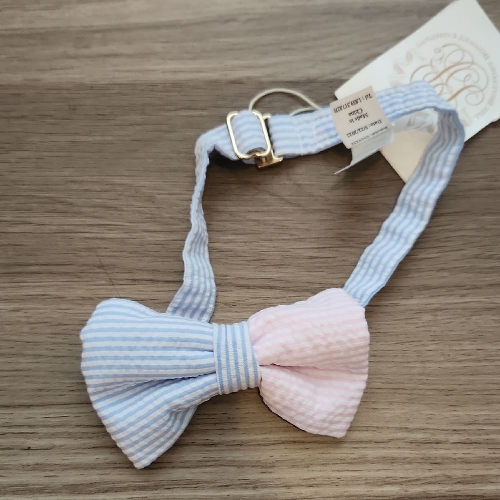 Tbbc Striped Blue and Pink Kids Bow Tie
